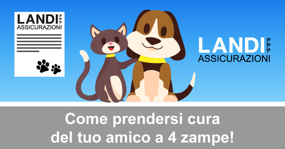 Come prendersi cura del tuo amico a 4 zampe